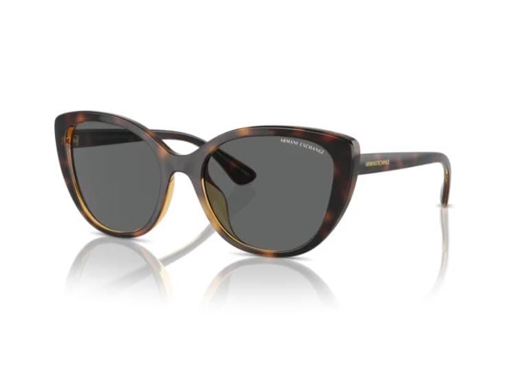 Armani Exchange Shiny Havana Frame with Dark Grey Lens