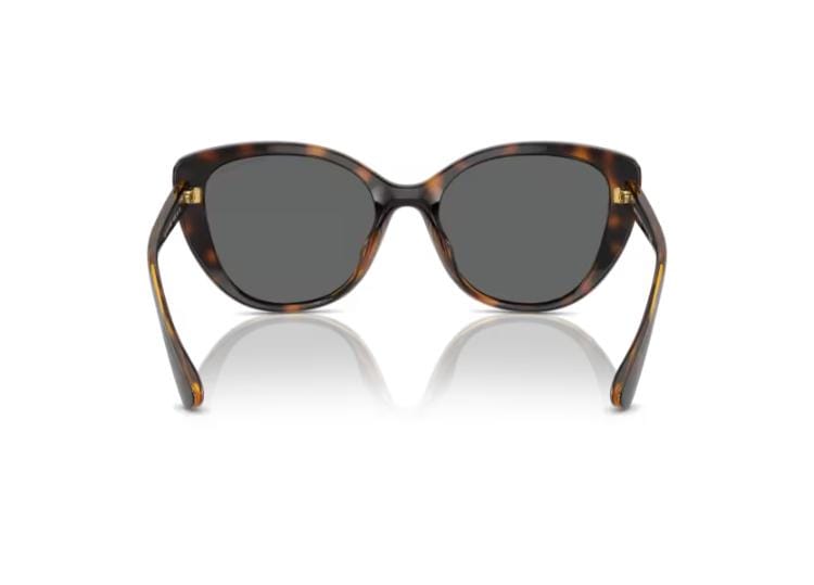 Armani Exchange Shiny Havana Frame with Dark Grey Lens