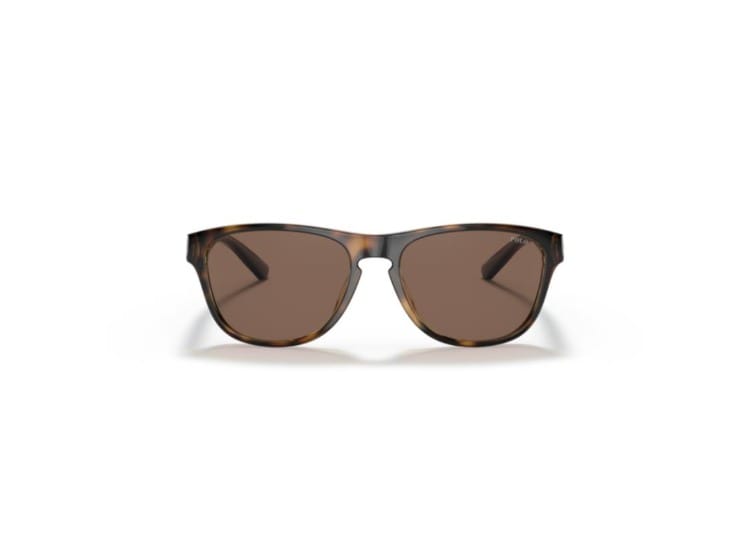 Polo By Ralph Lauren Shiny Havana / Brown PH4180u Sunglasses