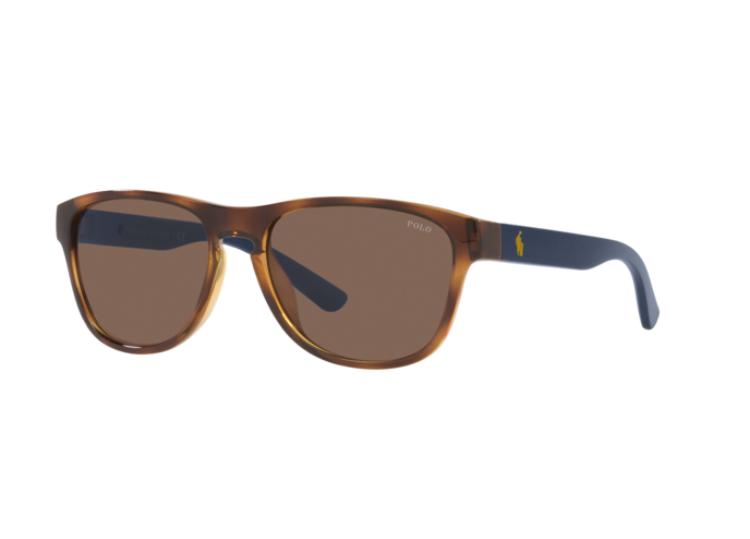 Polo By Ralph Lauren Shiny Havana / Brown PH4180u Sunglasses