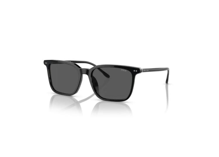 Polo By Ralph Lauren PH4194U Shiny Black / Grey Sunglasses