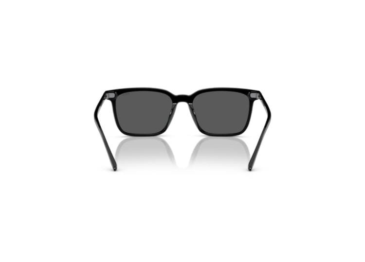 Polo By Ralph Lauren PH4194U Shiny Black / Grey Sunglasses