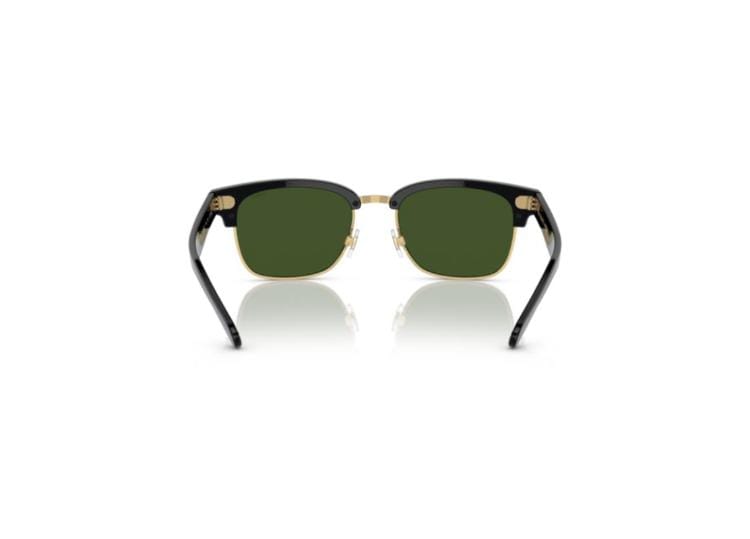 Polo By Ralph Lauren PH4202 Shiny Black / Dark Green Sunglasses
