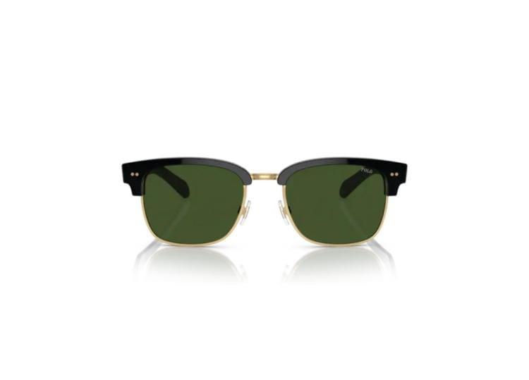 Polo By Ralph Lauren PH4202 Shiny Black / Dark Green Sunglasses